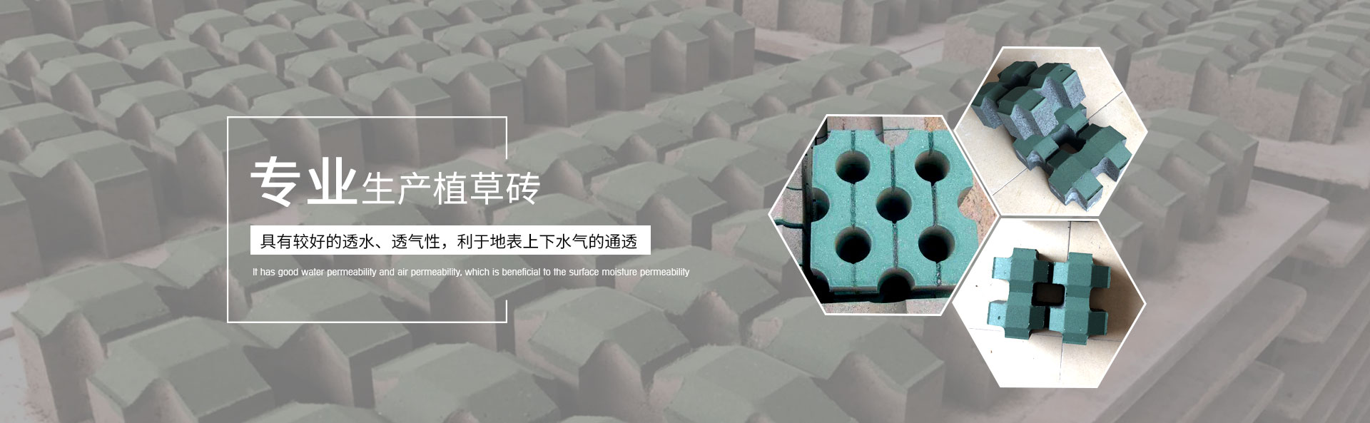 六角生態(tài)護坡磚,植草透水磚,建菱磚-湖南路特新型建材有限公司