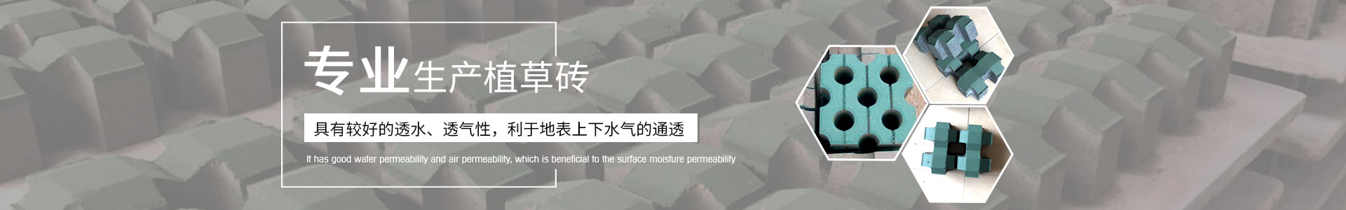 六角生態(tài)護坡磚,植草透水磚,建菱磚-湖南路特新型建材有限公司